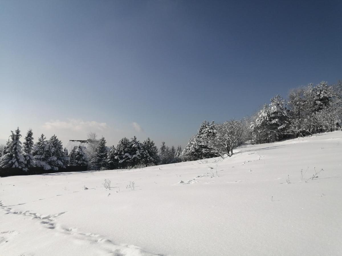 Goralska Ostoja Villa Pcim Esterno foto